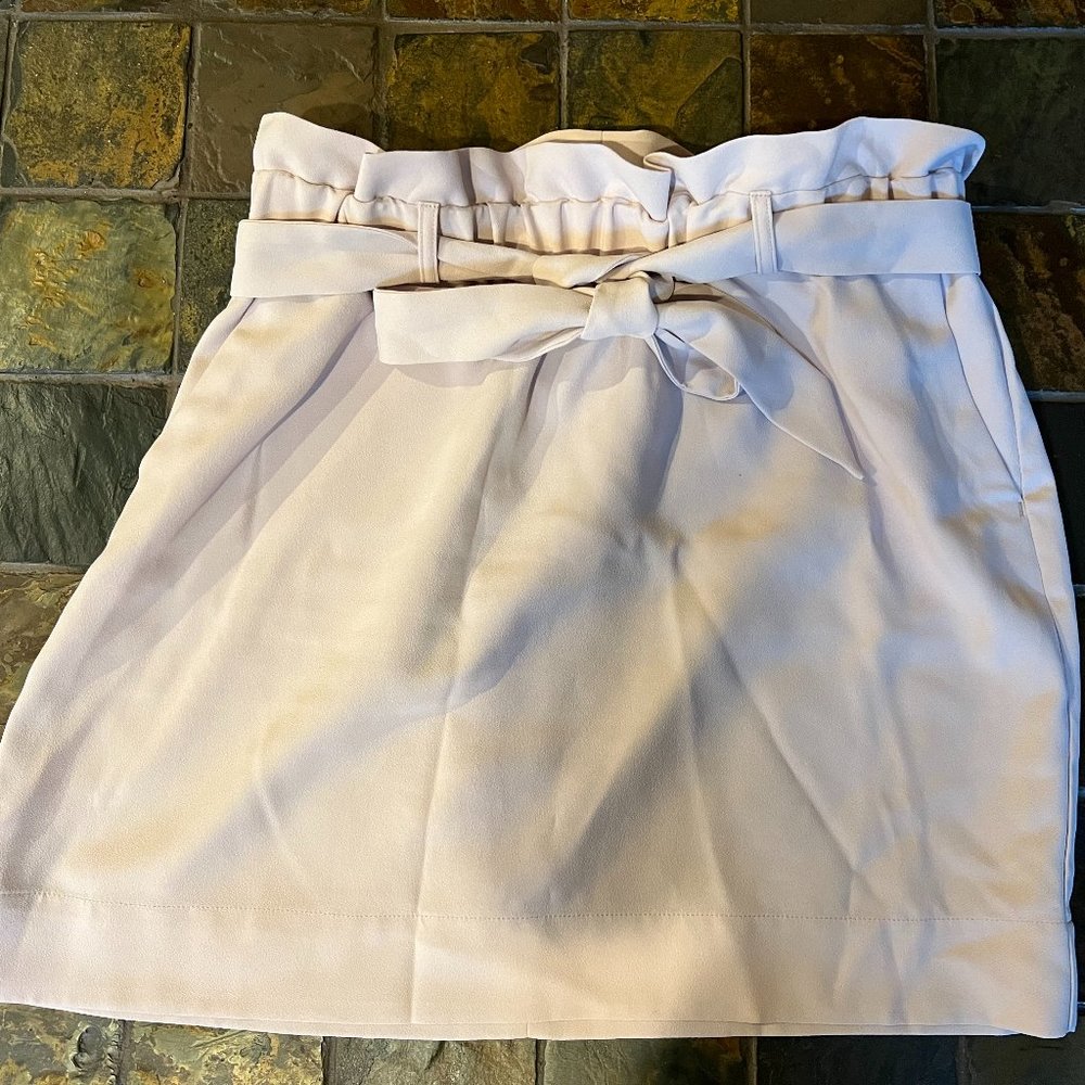 Express skirt Sz M